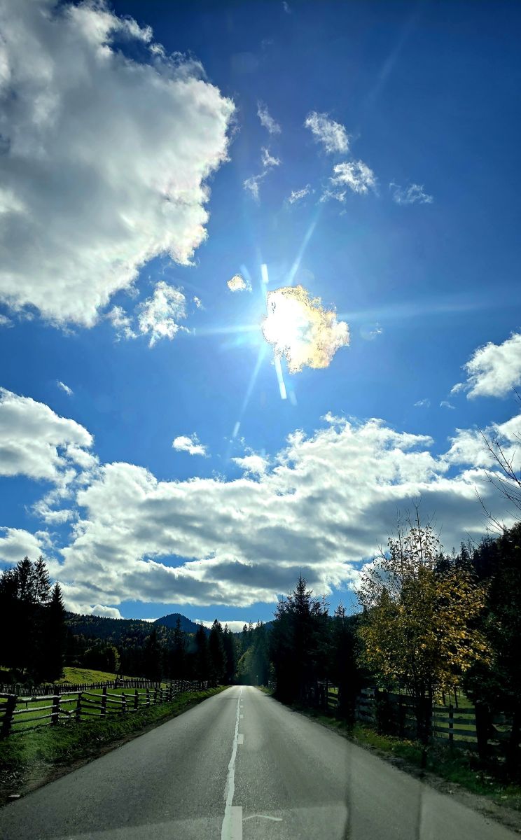 Photographer Camelyon, Weather Photos in Ostra - Weawow