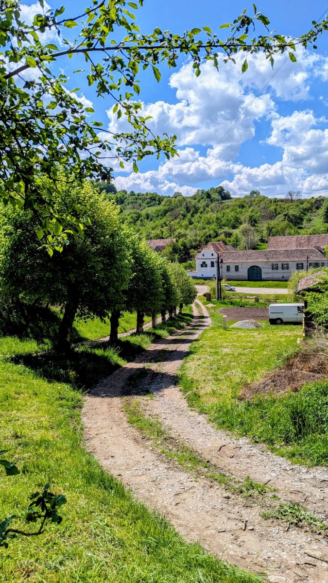 Weather Photos in Sibiu County. Weather forecasts with beautiful photos by Soulbro