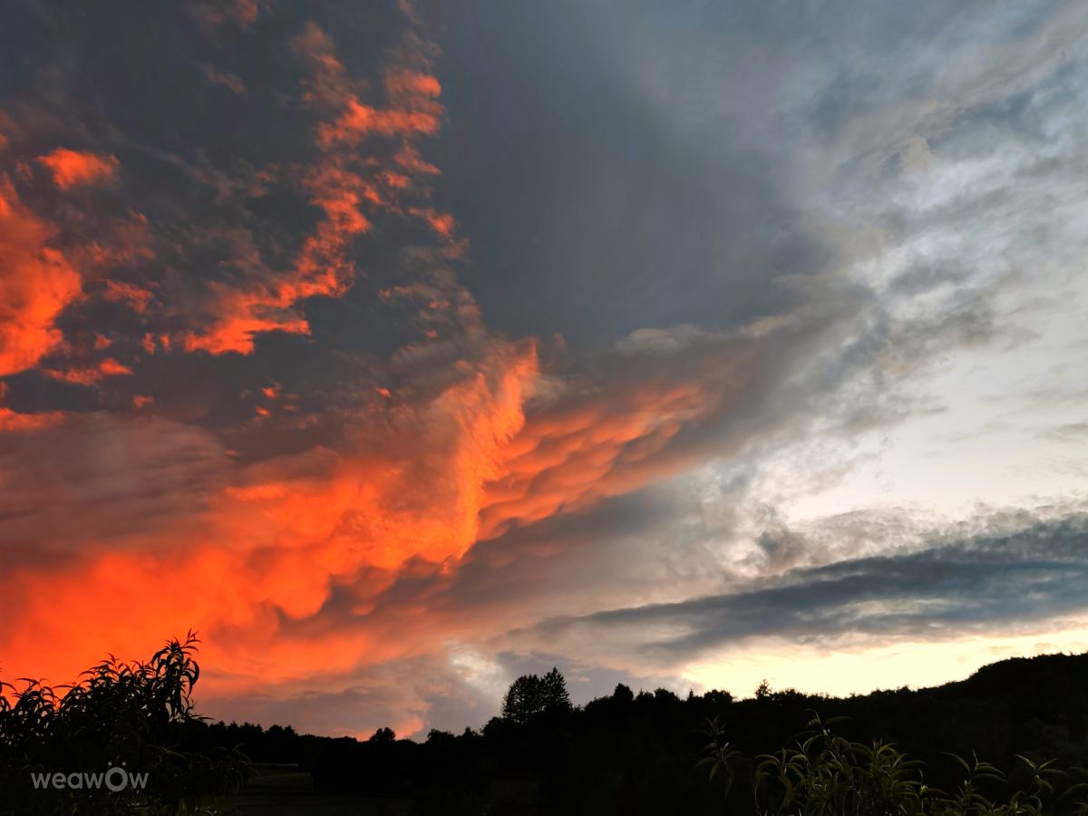 Weather forecasts with beautiful photos by Anamarija