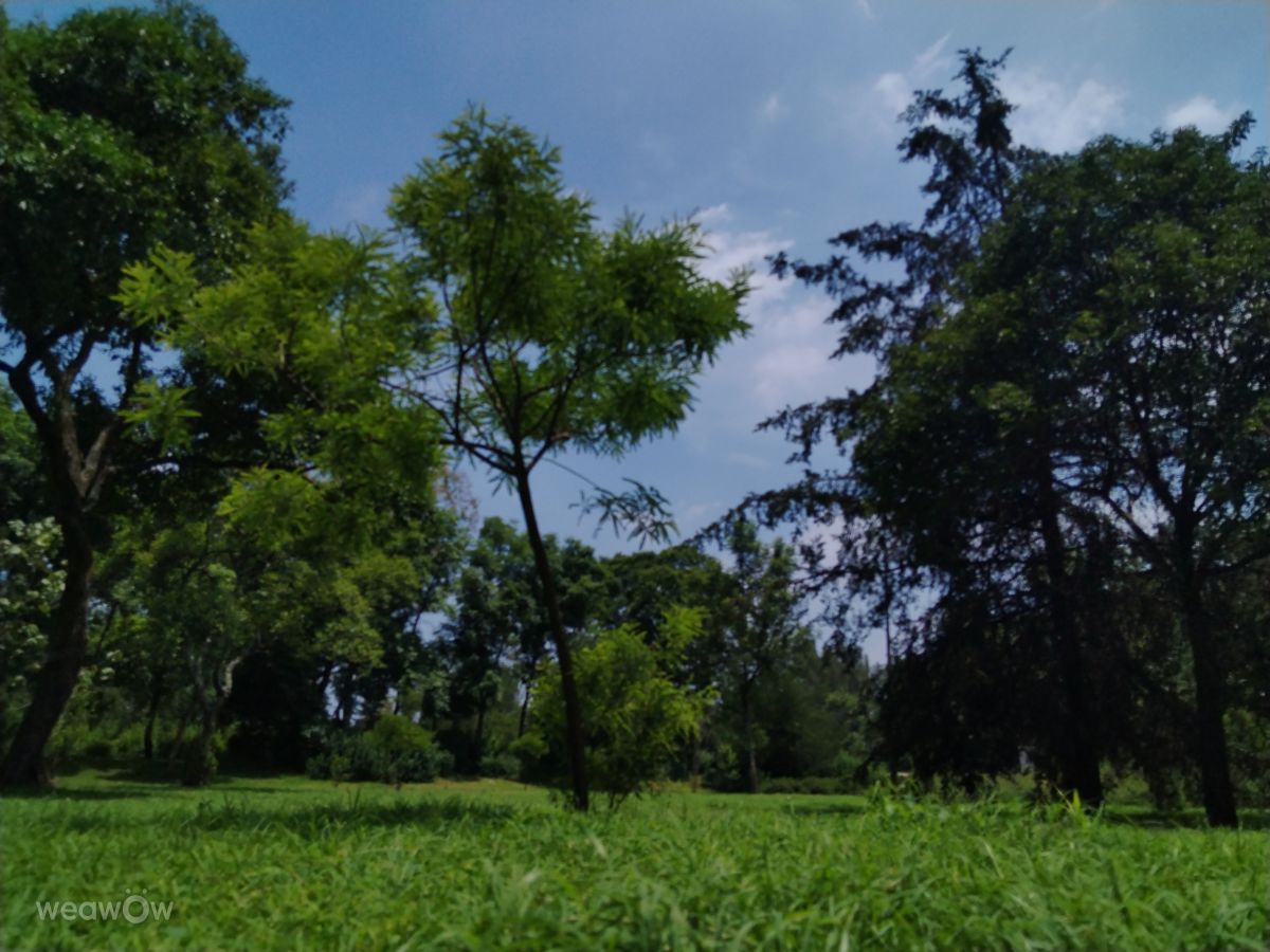 Wetter Photos Mexiko. Wettervorhersagen mit schönen Fotos von Eriq Pheres Loshola