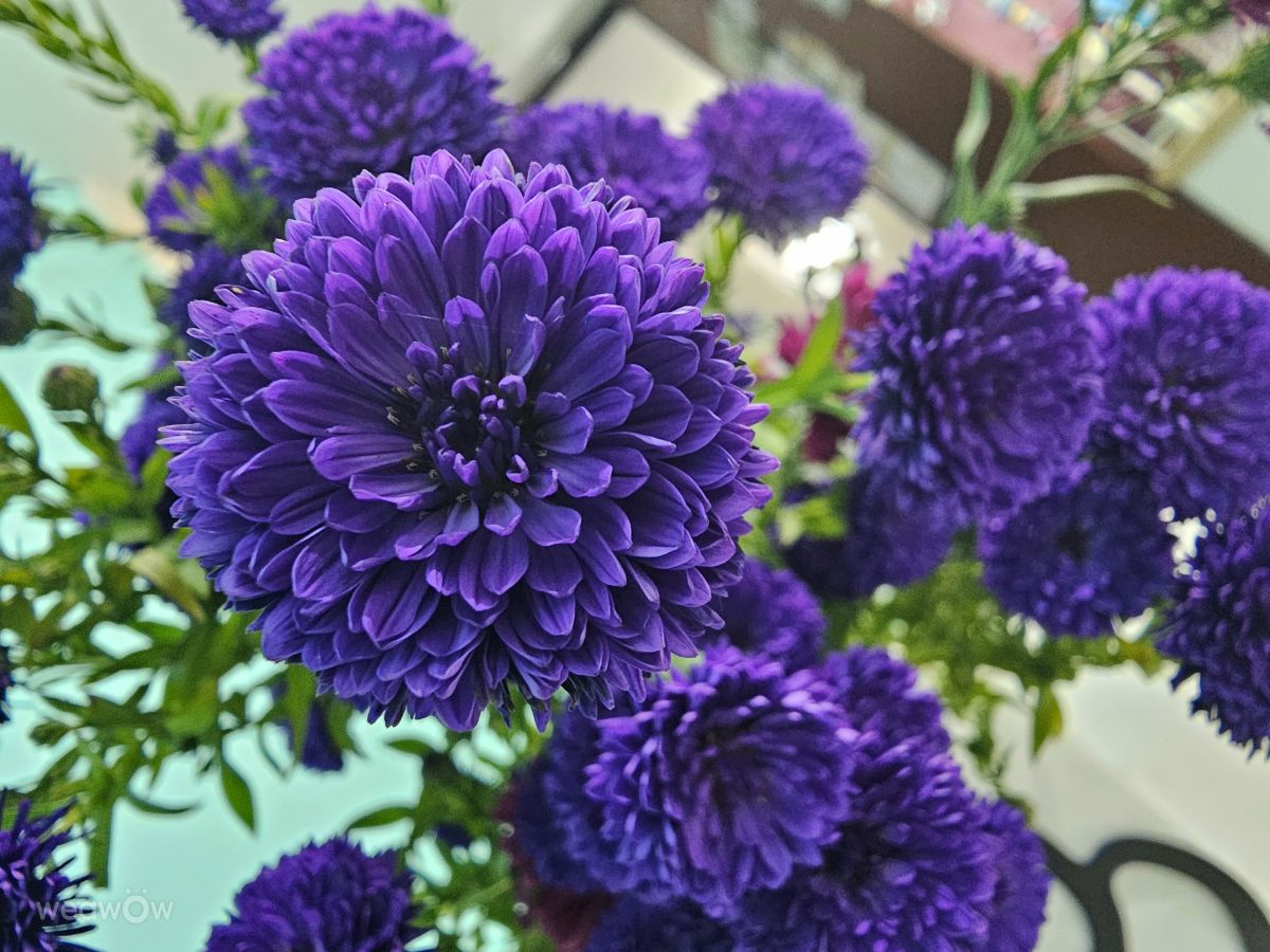 Primorye的天气照片. 天气预报，带ImPe精美的照片