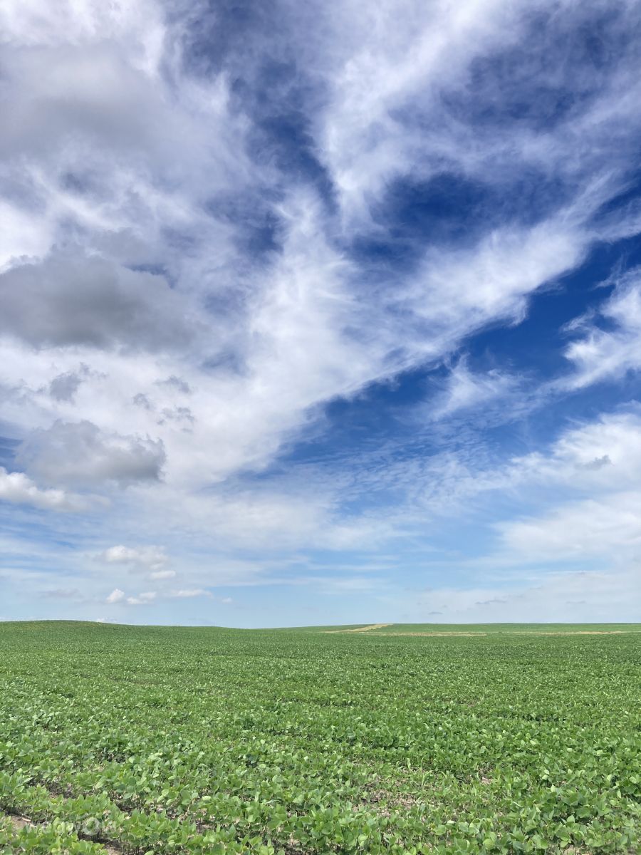 カンザス州の天気写真. prairiesandsの美しい写真による天気予報