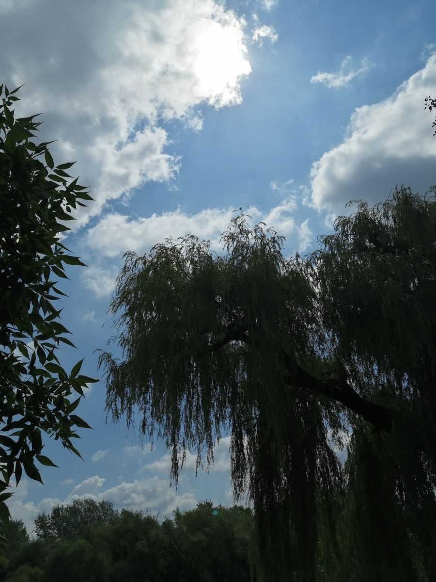 Fotos do tempo em Arad. Previsões do tempo com lindas fotos de Augustin