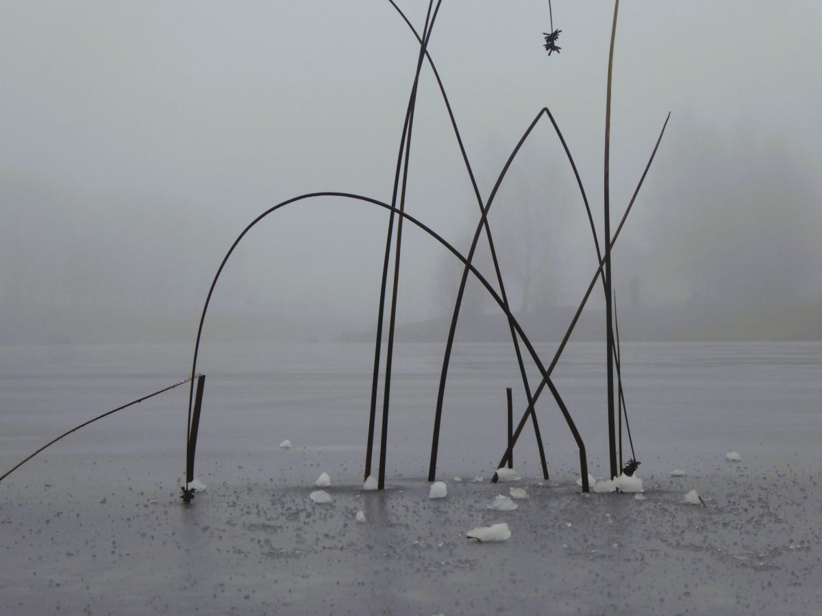 Прогнозы погоды с чудесными фотографиями, сделанными AlmaGenute53