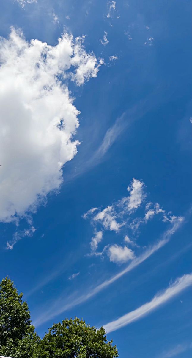 Weather forecasts with beautiful photos by Roberto Padilla