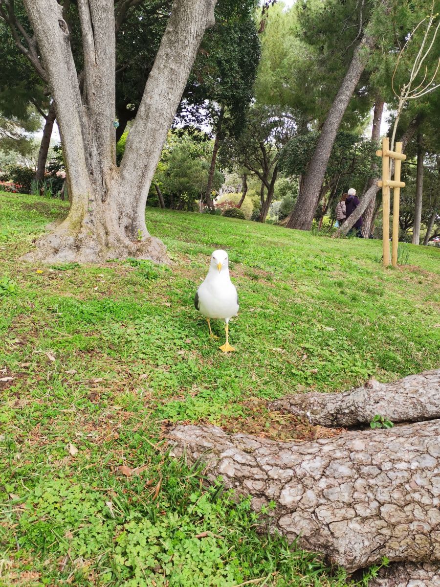 Weather Photos in Monaco. Weather forecasts with beautiful photos by NikolayPaunchev
