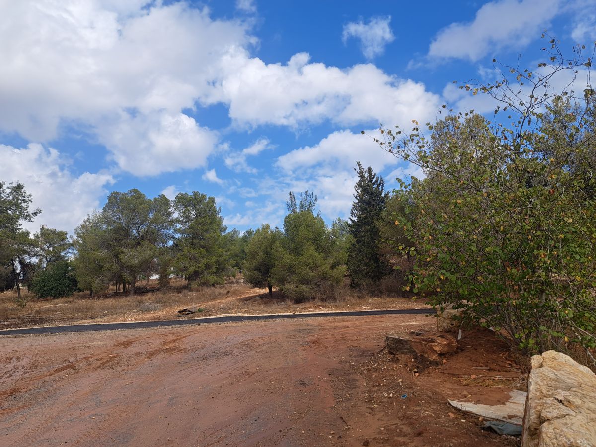 Photos météo à Israël. Prévisions météo avec de superbes photos de Sviatoslav