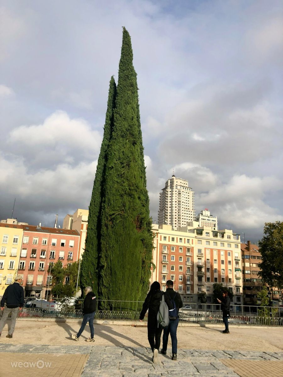 Weather Photos in Madrid. Weather forecasts with beautiful photos by Lulu5523