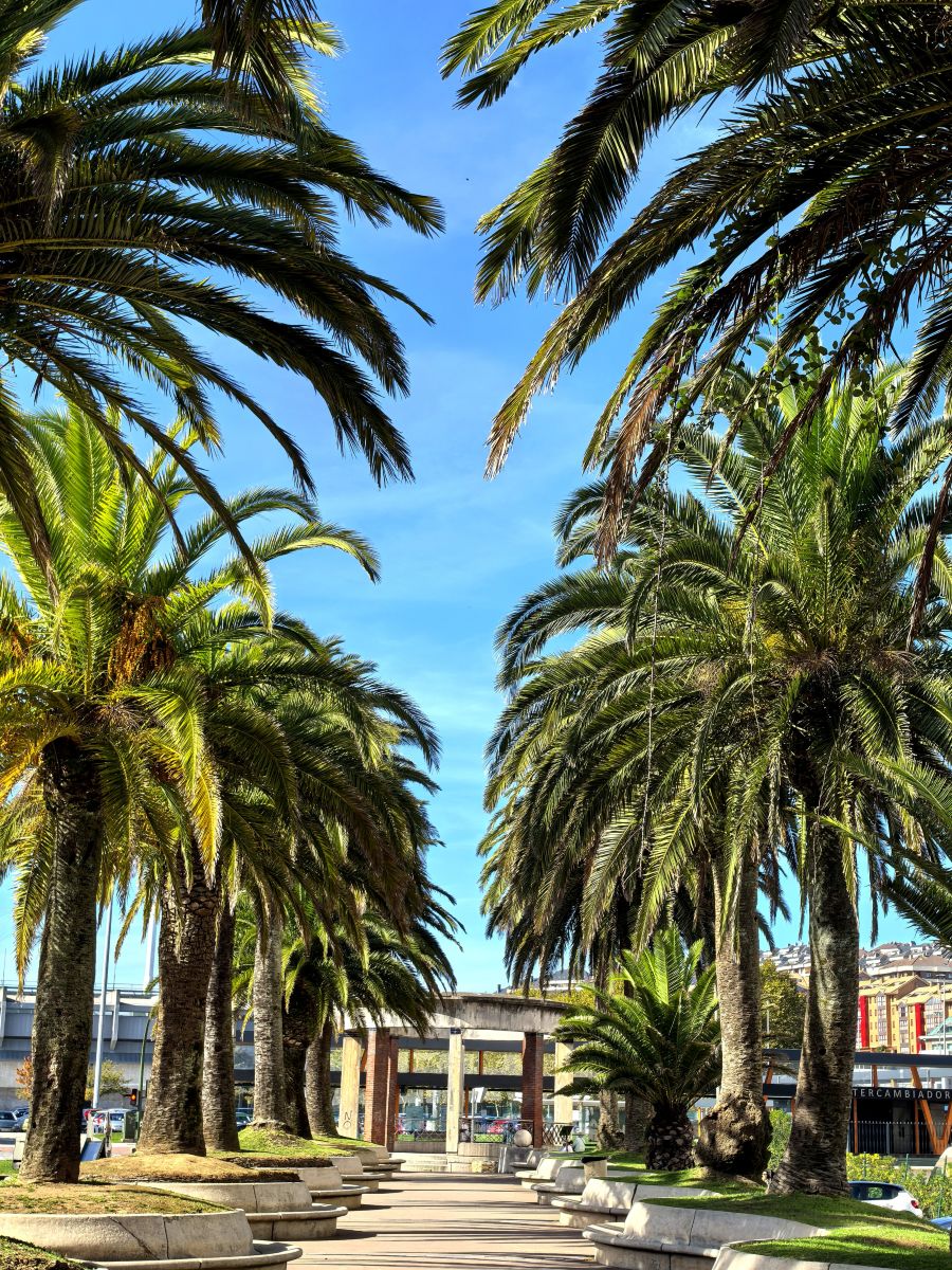 Weather Photos in Santander. Weather forecasts with beautiful photos by Lomarog