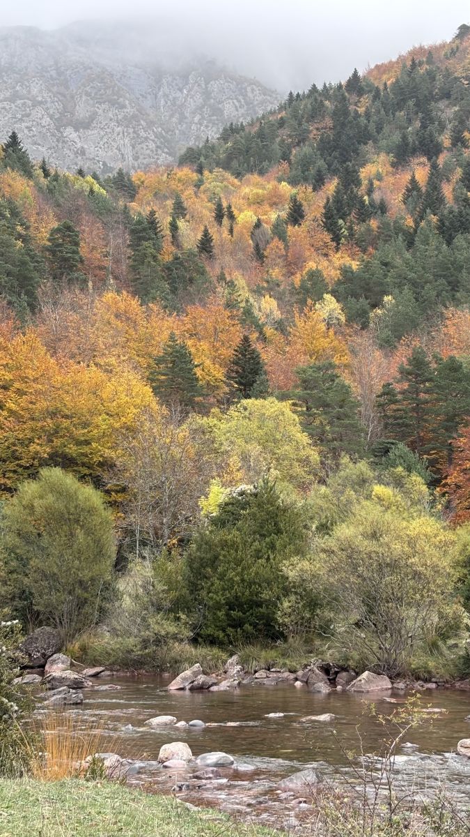 Photographe Kiko de Brugada, Photos météo à Valle de Echo - Weawow