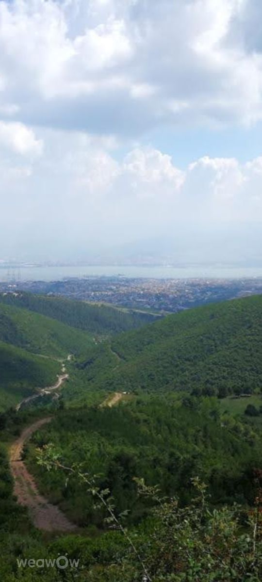 Weather Photos in İzmit. Weather forecasts with beautiful photos by Tulın
