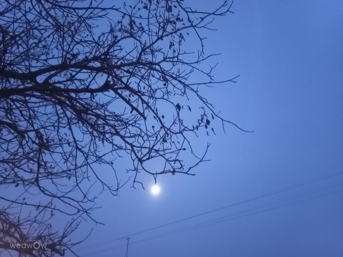 Wetter Photos Oblast Moskau. Wettervorhersagen mit schönen Fotos von Evgeniya77