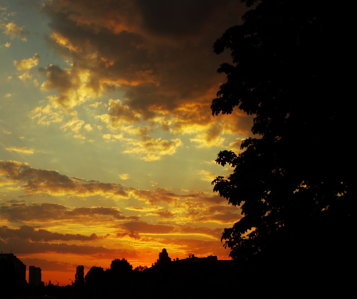 Photographer Михаил Гавриков, Weather Photos in Kharkiv - Weawow