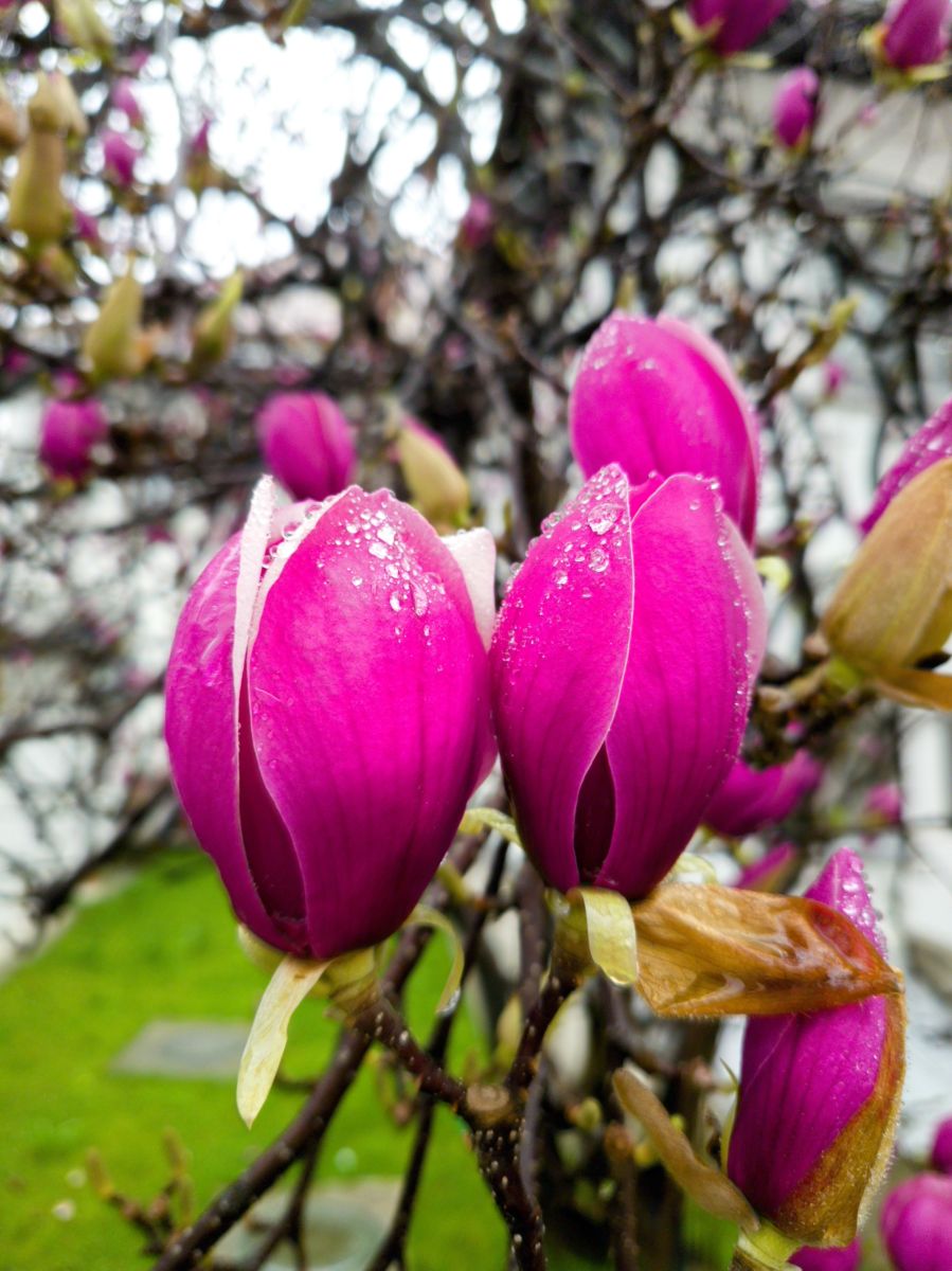 Photos météo à Vâlcea. Prévisions météo avec de superbes photos de Evgeniy79