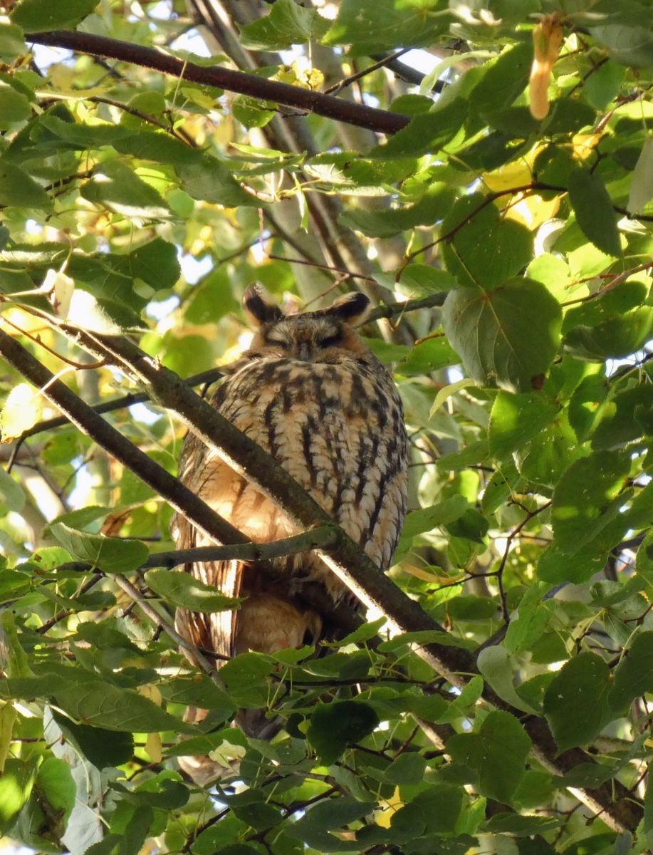 Фотографии Погоды в Elsfleth. Прогнозы погоды с чудесными фотографиями, сделанными fwerner