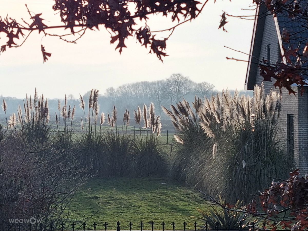 Weather Photos in The Netherlands. Weather forecasts with beautiful photos by Greet