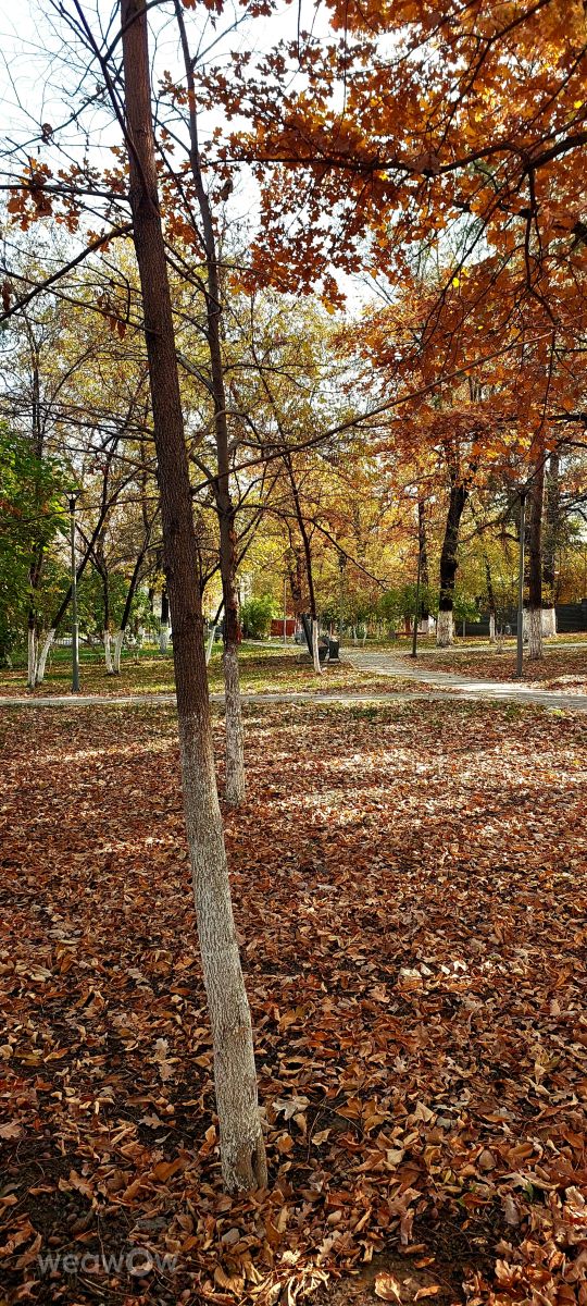Fotos sobre el clima en Almaty Oblysy. Pronósticos del tiempo con hermosas fotos de Тимур Наурызбаев