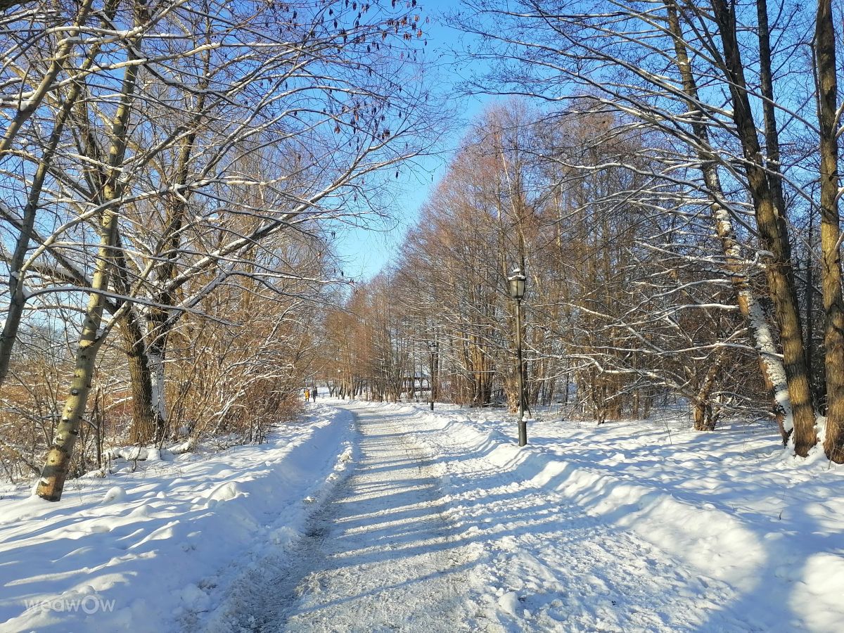 Weather Photos in Ełk. Weather forecasts with beautiful photos by EliMar