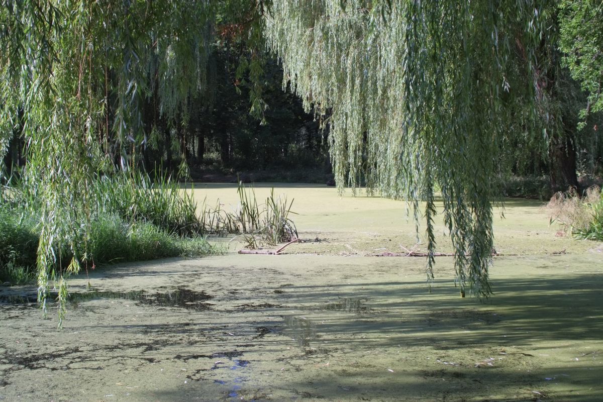 Photos météo à Cherkasy. Prévisions météo avec de superbes photos de Saho76