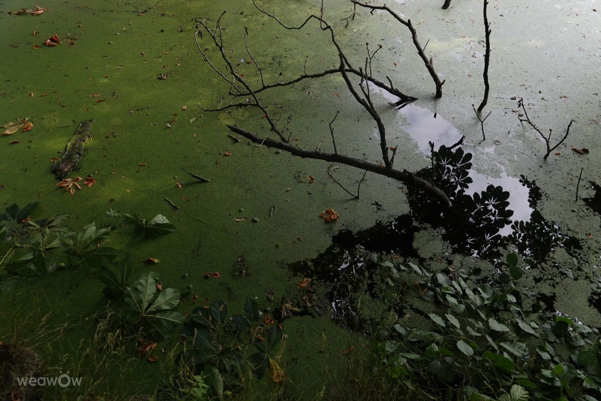 Fotógrafo Vasek325, Fotos sobre el clima en Praha 4 - Weawow