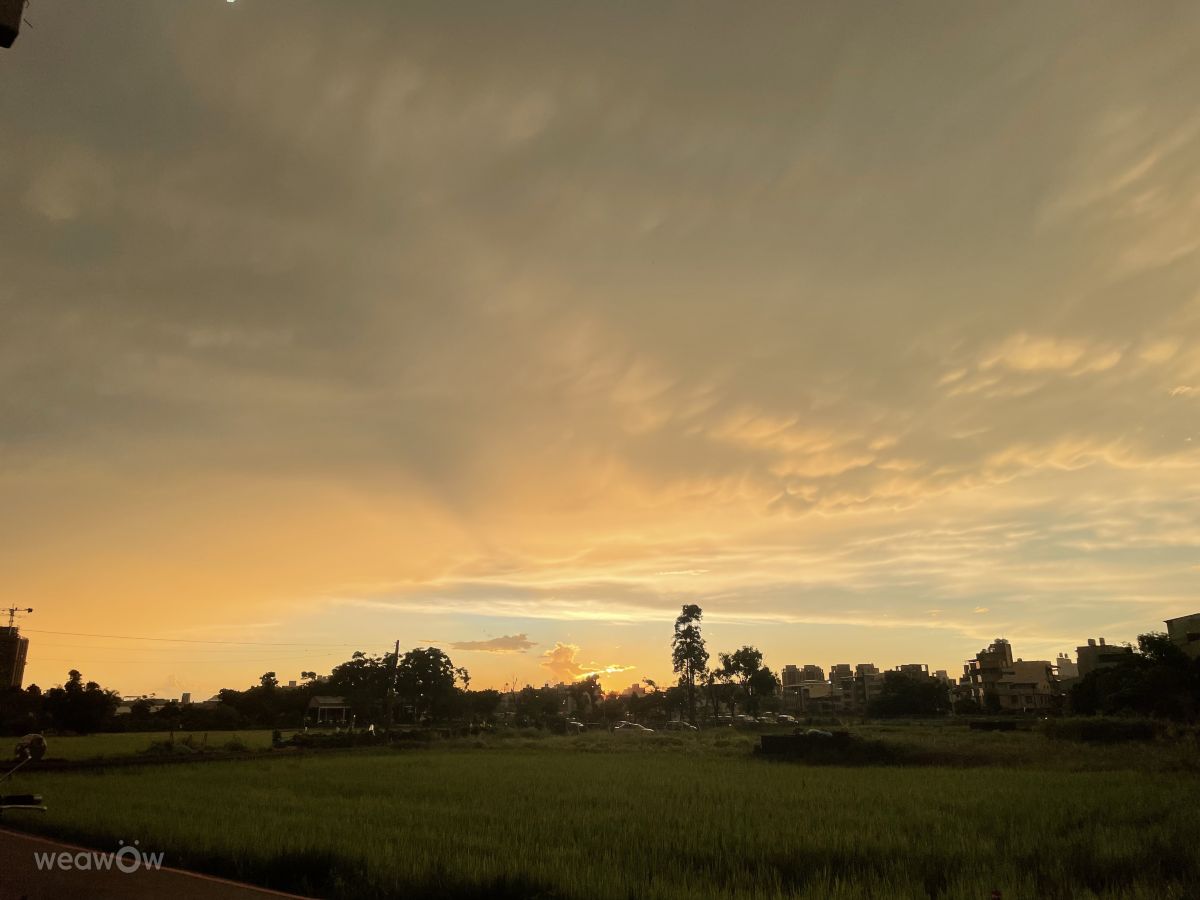 Weather Photos in Taiwan. Weather forecasts with beautiful photos by Fragrantmi