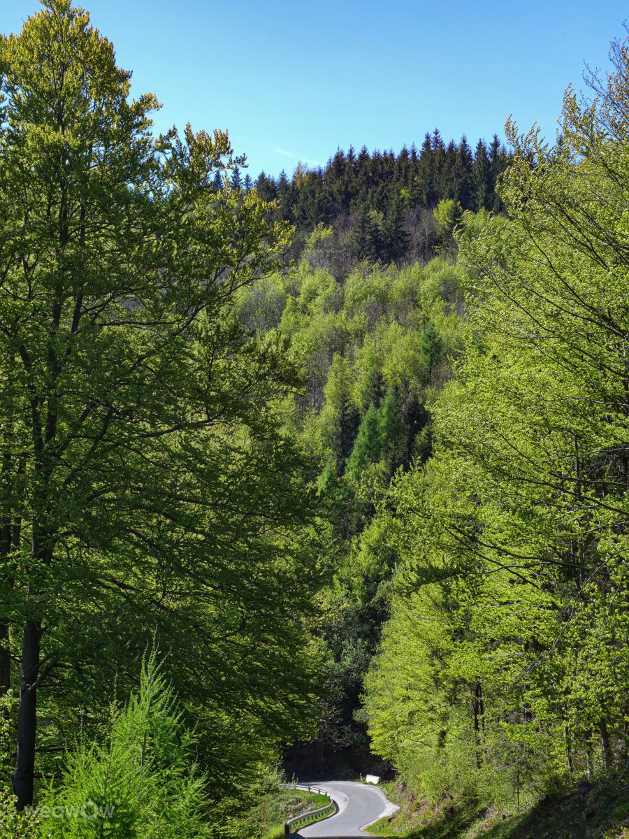Weather Photos in Slovakia. Weather forecasts with beautiful photos by _richardd