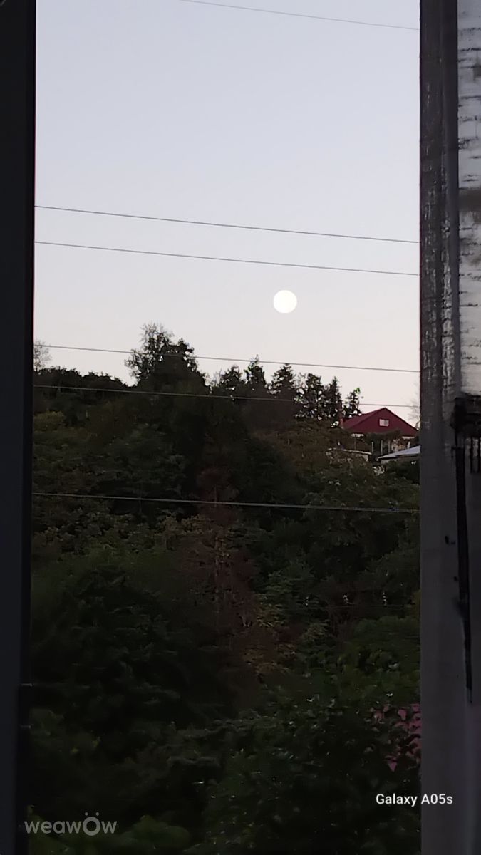 Weather Photos in Georgia. Weather forecasts with beautiful photos by Mari Marikuna