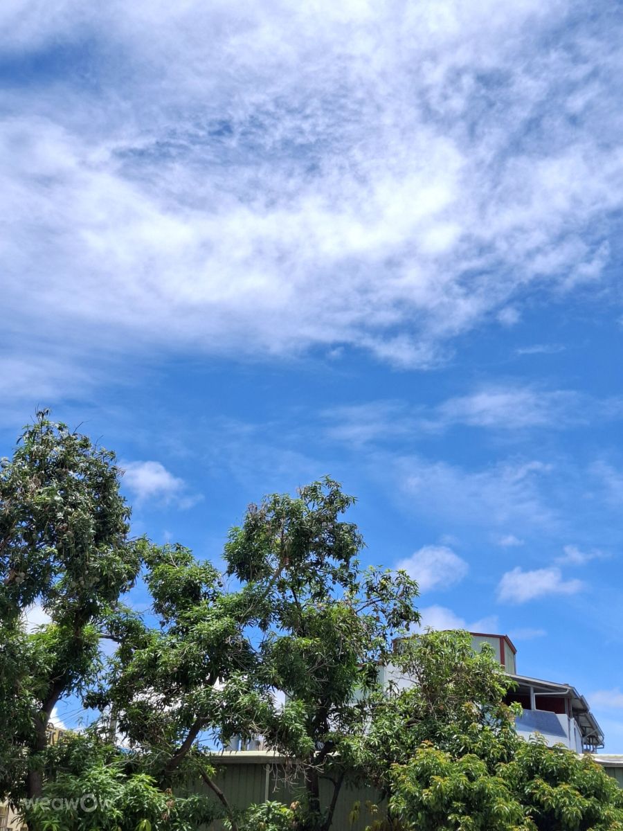 Photographer Wen-ya Huang, Weather Photos in Kaohsiung City - Weawow
