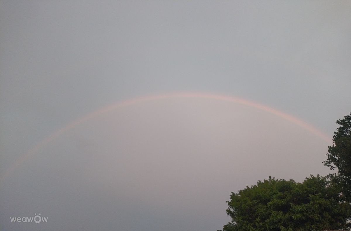 Photograph Junior Kaus, Wetter Photos Florianópolis - Weawow