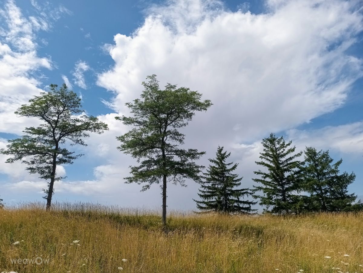 Photographer Kripo, Weather Photos in Oberwaltersdorf - Weawow