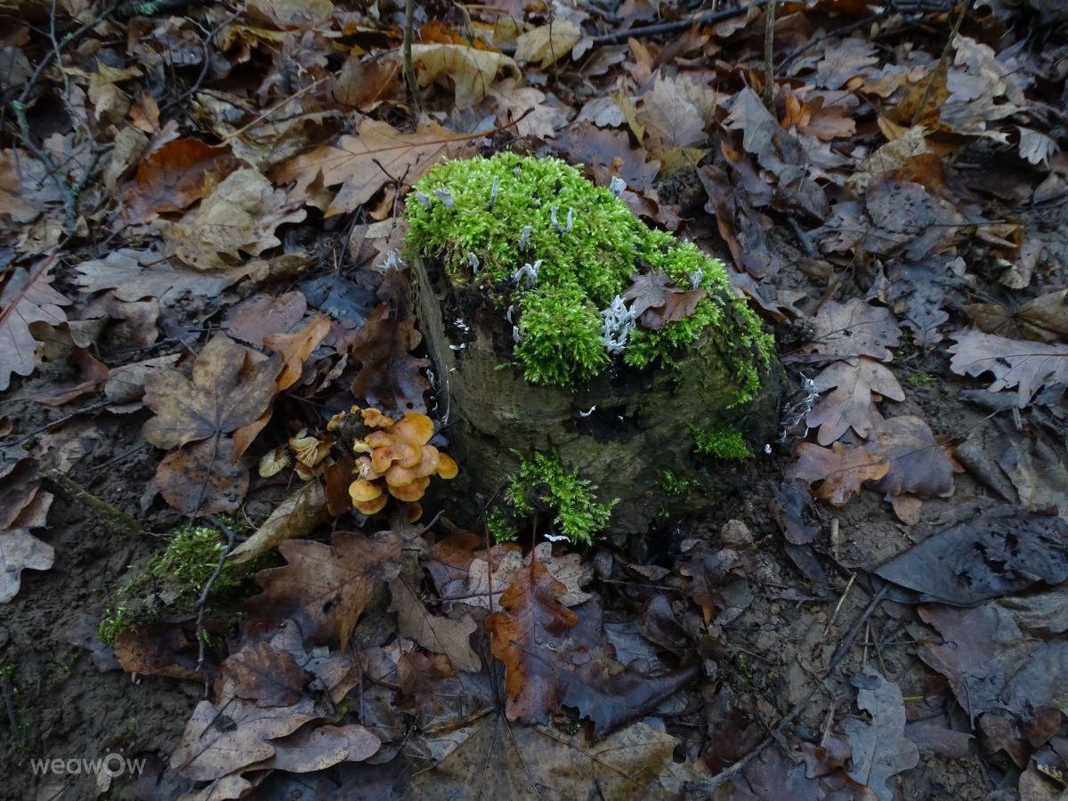 Fotos do tempo em Praha 5. Previsões do tempo com lindas fotos de Vasek325