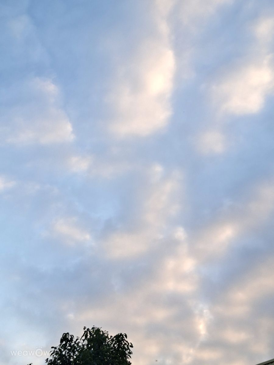 Photographer Wen-ya Huang, Weather Photos in Kaohsiung City - Weawow