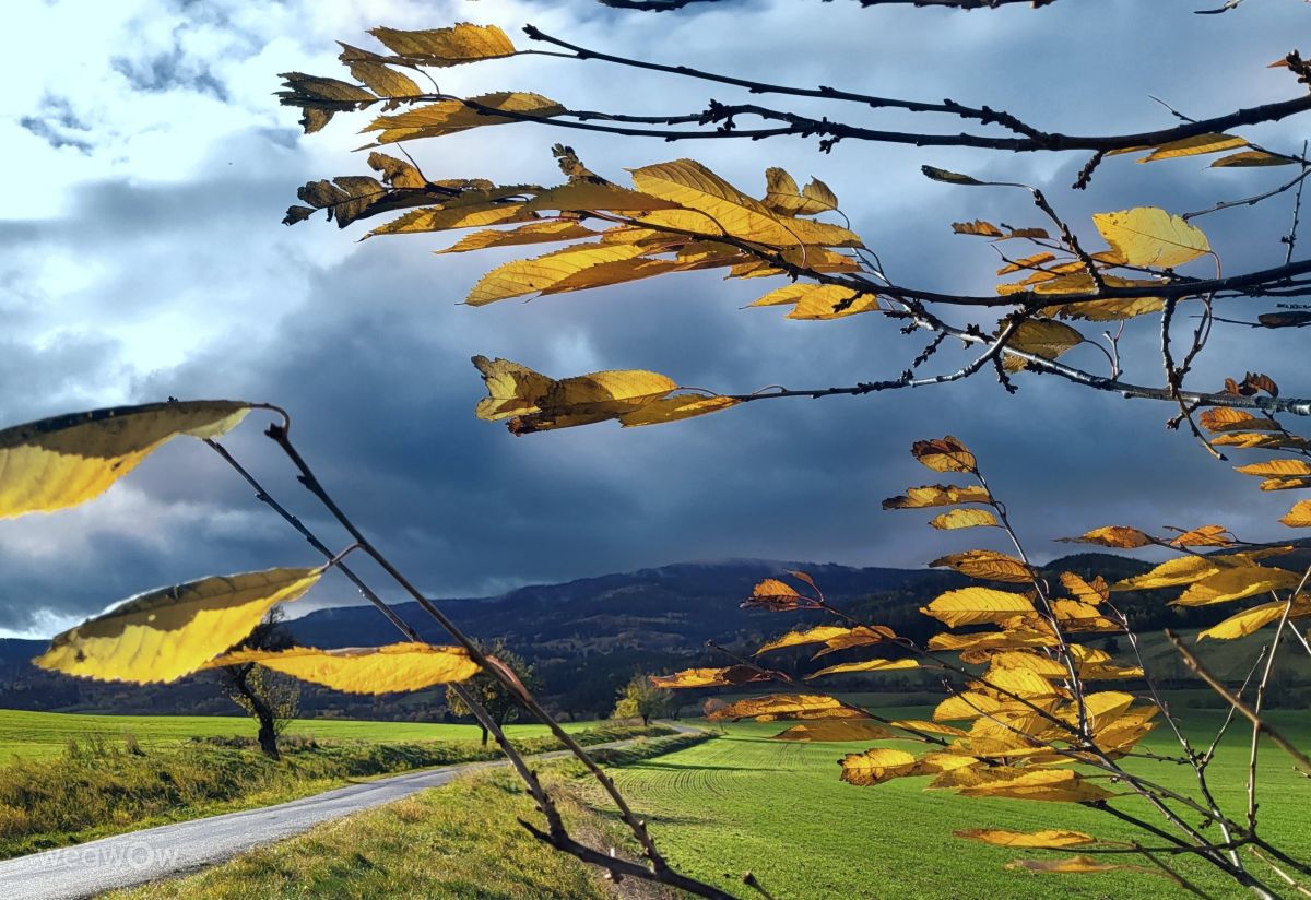 Photographe hejpetrpepa, Photos météo à Kašperské Hory - Weawow