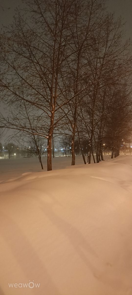 ズヴェニゴロドの天気写真. Ратиборの美しい写真による天気予報