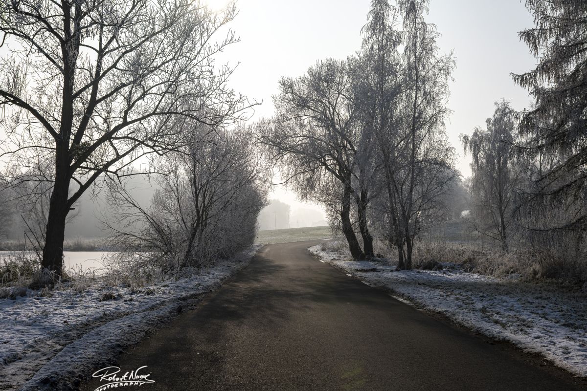 Photographer RobertNagaj, Weather Photos in Rolnicza - Weawow