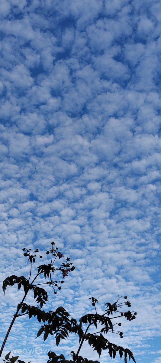 Weather Photos in Honshu. Weather forecasts with beautiful photos by umemui