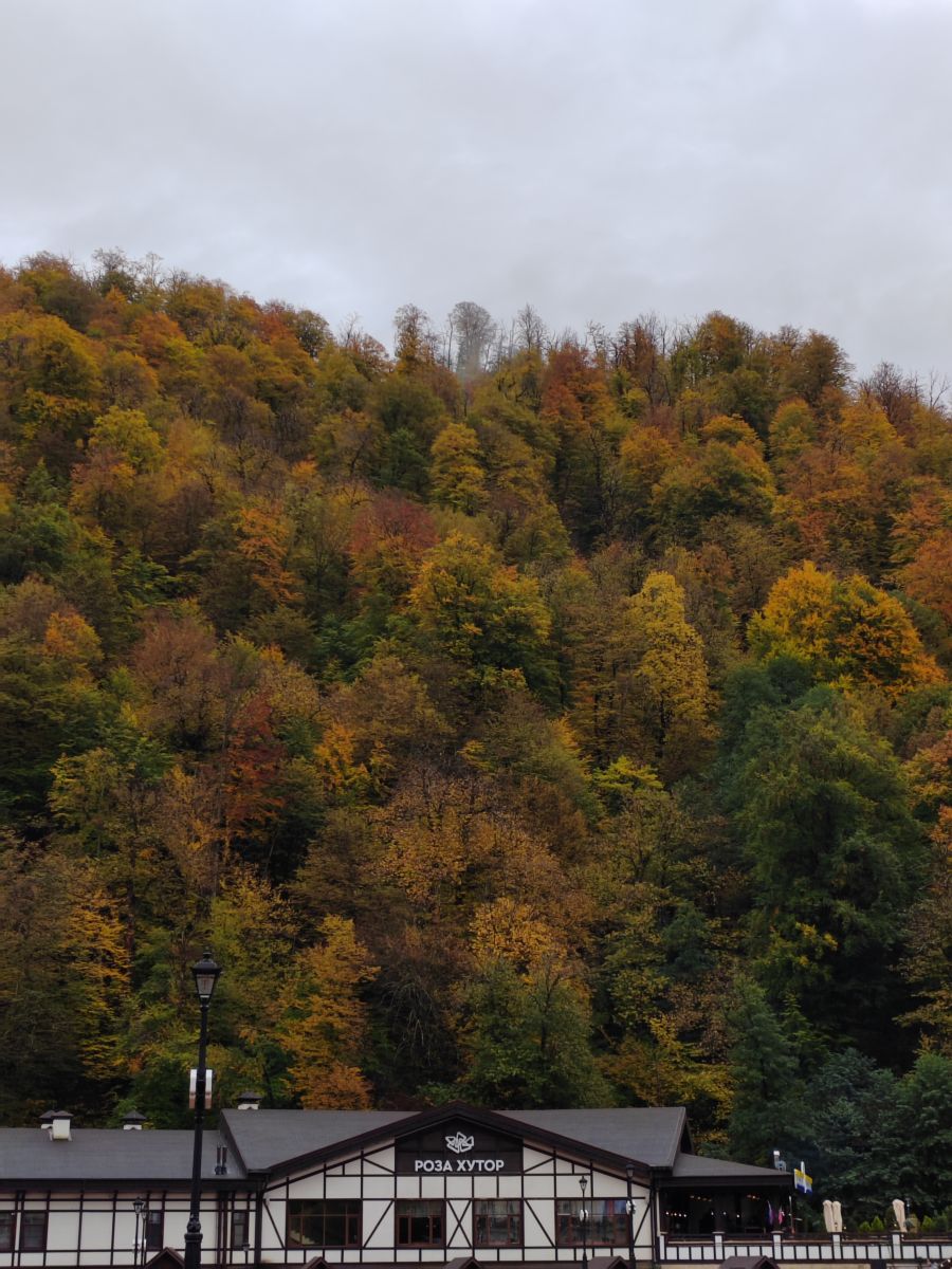 Photographer Albert_Smelovtsev, Weather Photos in Roza Khutor - Weawow