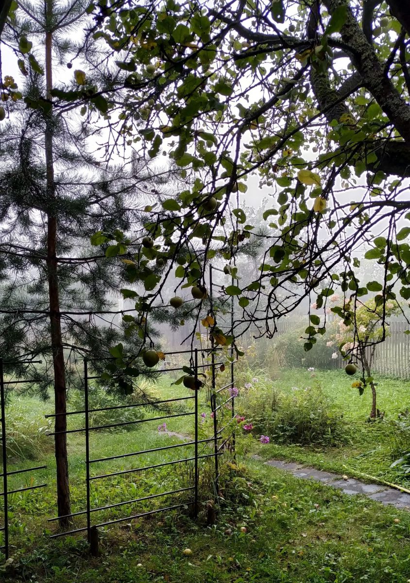 Photos météo à Serpukhov. Prévisions météo avec de superbes photos de 19Lora46