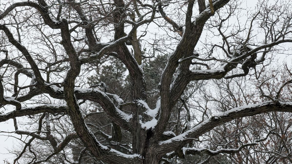 Фотографии Погоды в Сумы. Прогнозы погоды с чудесными фотографиями, сделанными демьян паламарчук
