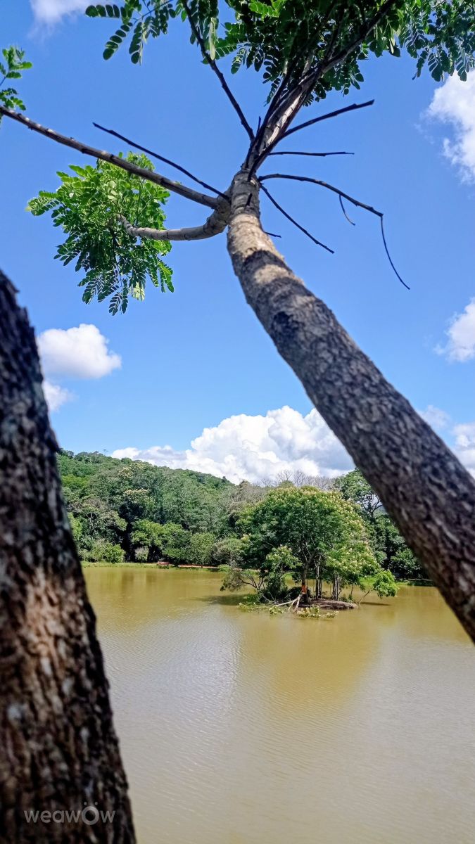 Fotos sobre el clima en Brasil. Pronósticos del tiempo con hermosas fotos de ASGuandalin