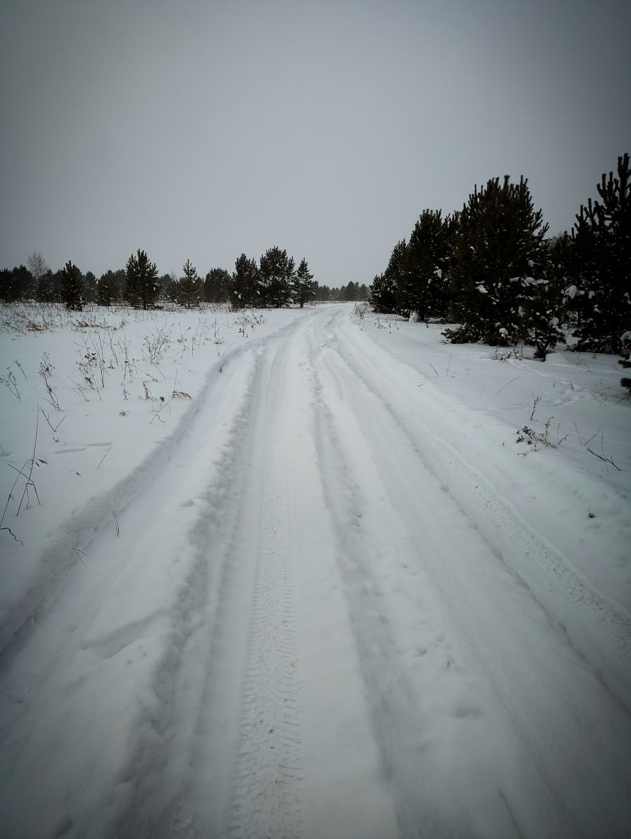 Photos météo à Sverdlovskaya Oblast'. Prévisions météo avec de superbes photos de rx9cig