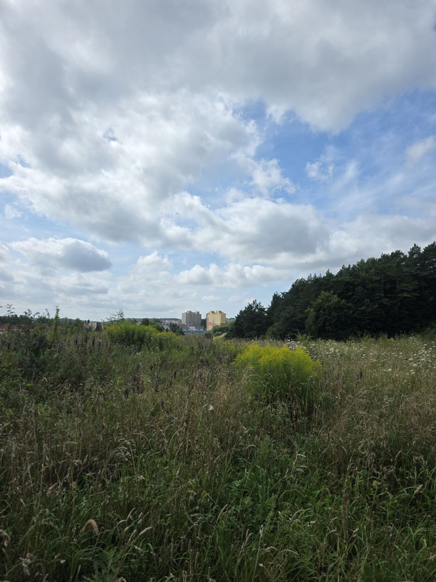 写真家 xPrzybyLx、Karwinyの天気写真 - Weawow