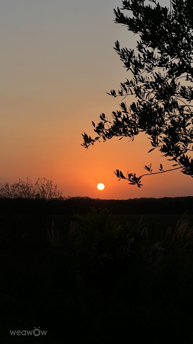Fotos sobre el clima en Sujumi. Pronósticos del tiempo con hermosas fotos de Amra