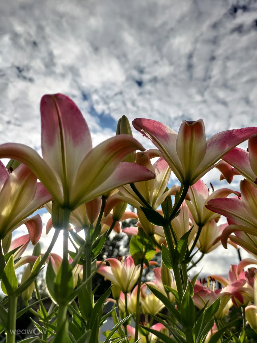 Fotos do tempo em Ekaterinburg. Previsões do tempo com lindas fotos de Lara357