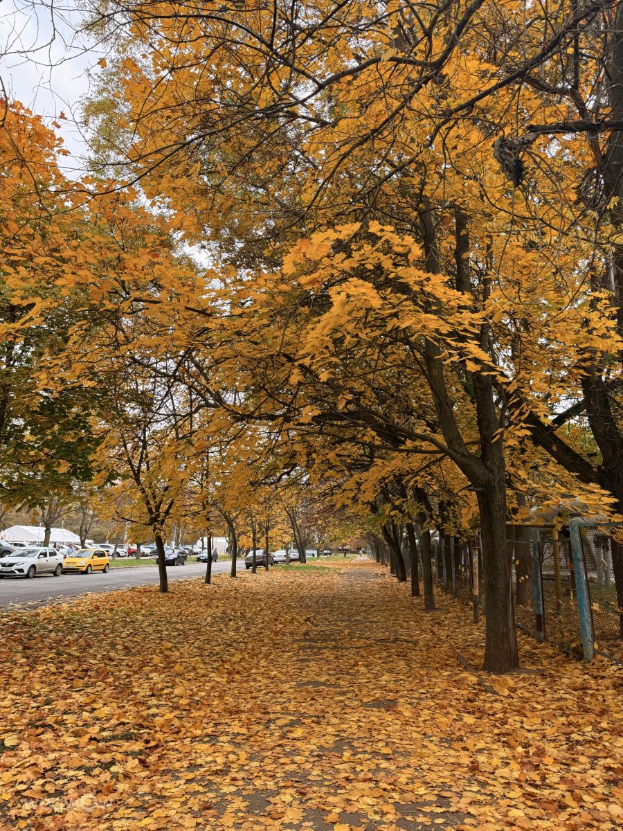 Photographer Elena Chayka, Weather Photos in вулиця Давида Ойстраха, 20 - Weawow