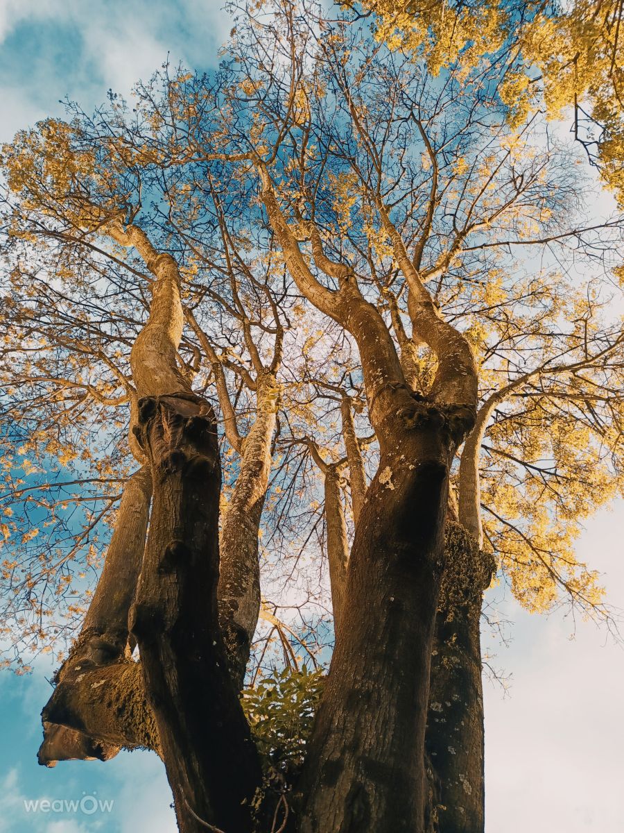 Pronósticos del tiempo con hermosas fotos de Medusahra