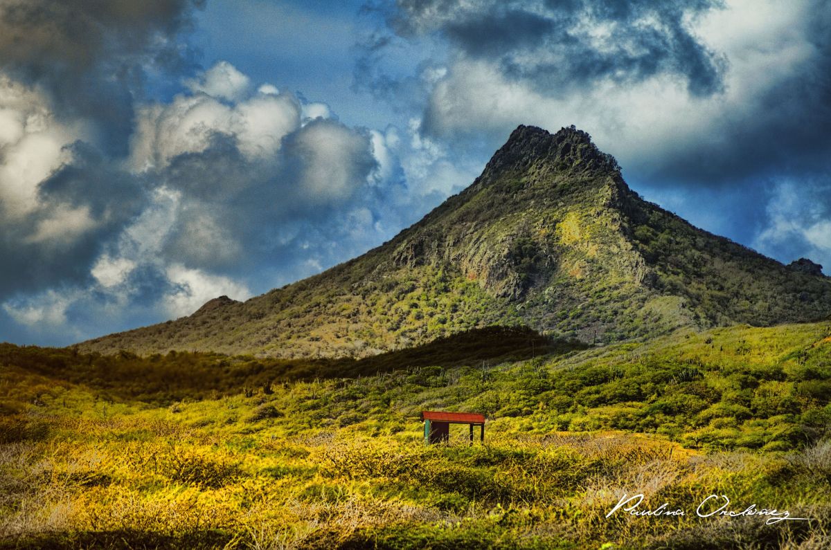 Weather forecasts with beautiful photos by PaarviDeviNatha