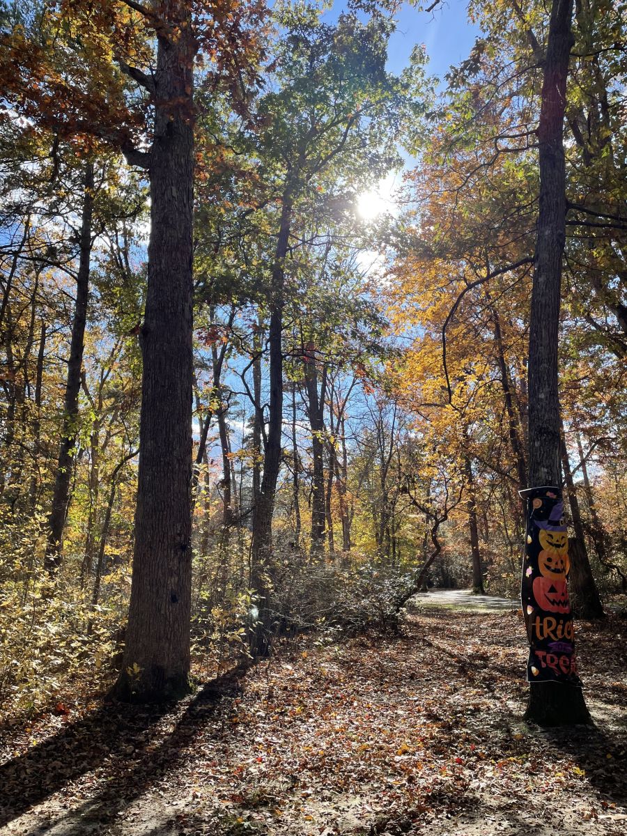 新泽西州的天气照片. 天气预报，带Kristina Elissa Bergman精美的照片