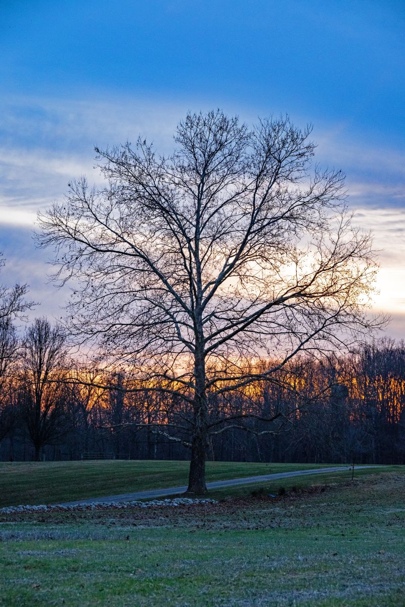 Weather Photos in Hanover. Weather forecasts with beautiful photos by krantzjh
