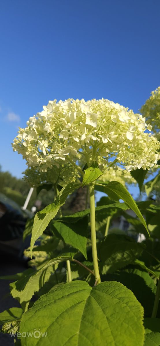 Weather Photos in Finland. Weather forecasts with beautiful photos by Jarmop